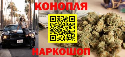ECSTASY Обь
