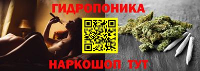 jwh Пушкино