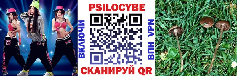 Галлюциногенные грибы мицелий  как найти закладки  Радужный 