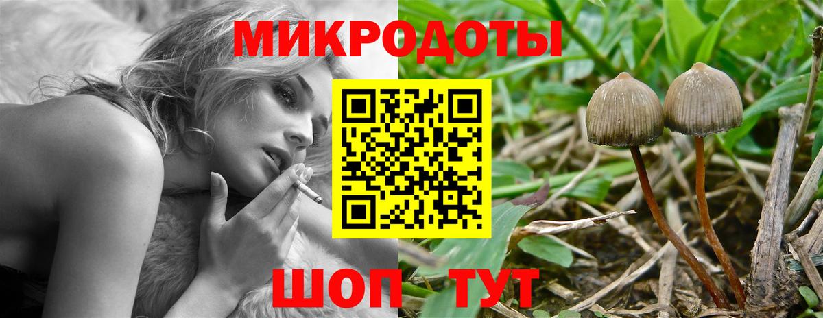 Радужный  Псилоцибиновые грибы прущие грибы  Вход с VPN 